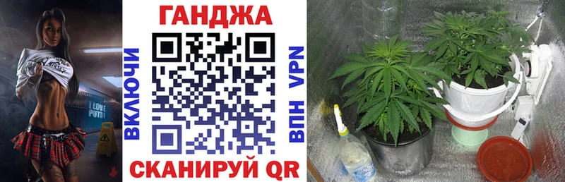 Названия наркотиков Карачаевск Вейп ТГК  Канабис  Alpha-PVP 
