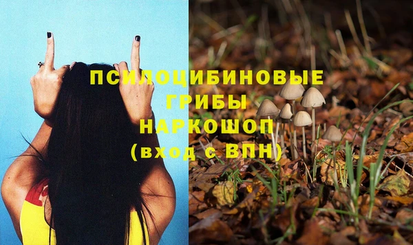 ПСИЛОЦИБИНОВЫЕ ГРИБЫ Переславль-Залесский