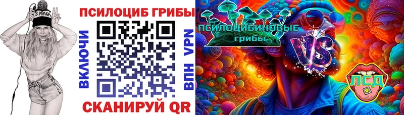 купить наркоту  Карачаевск  Псилоцибиновые грибы MAGIC MUSHROOMS 